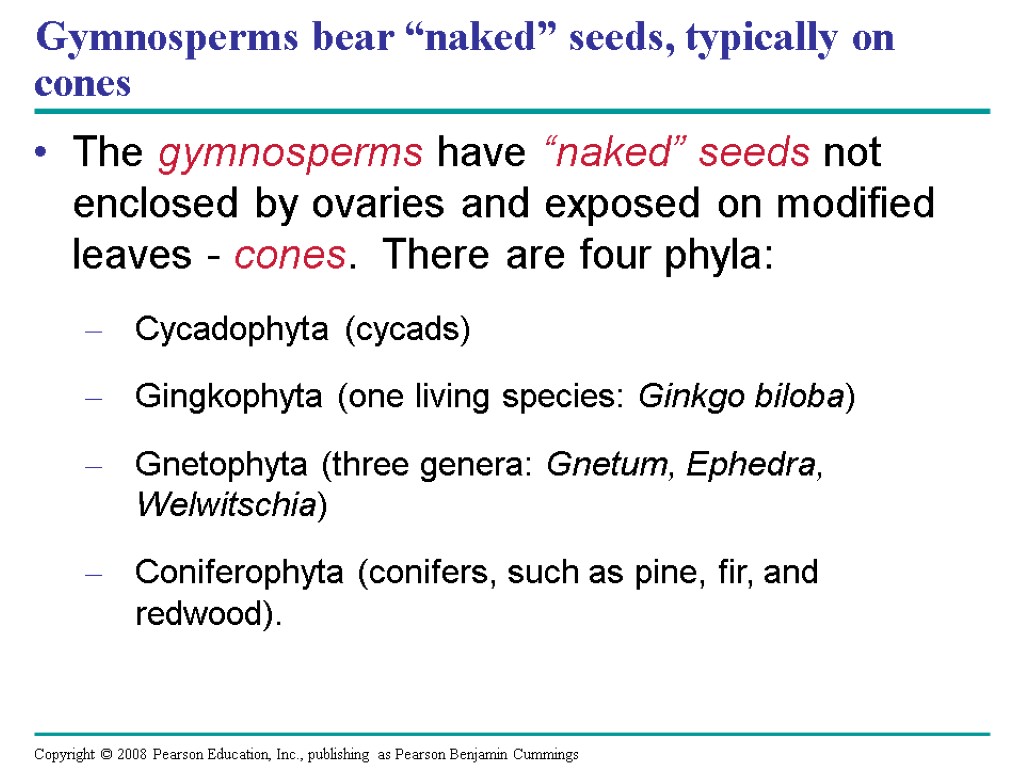 Gymnosperms bear “naked” seeds, typically on cones The gymnosperms have “naked” seeds not enclosed